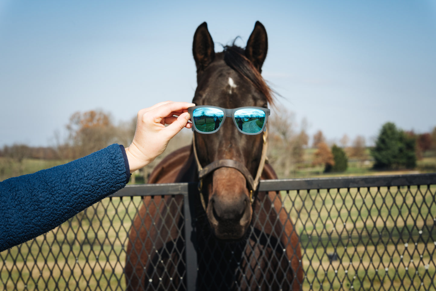 Darley Goodr Sunglasses