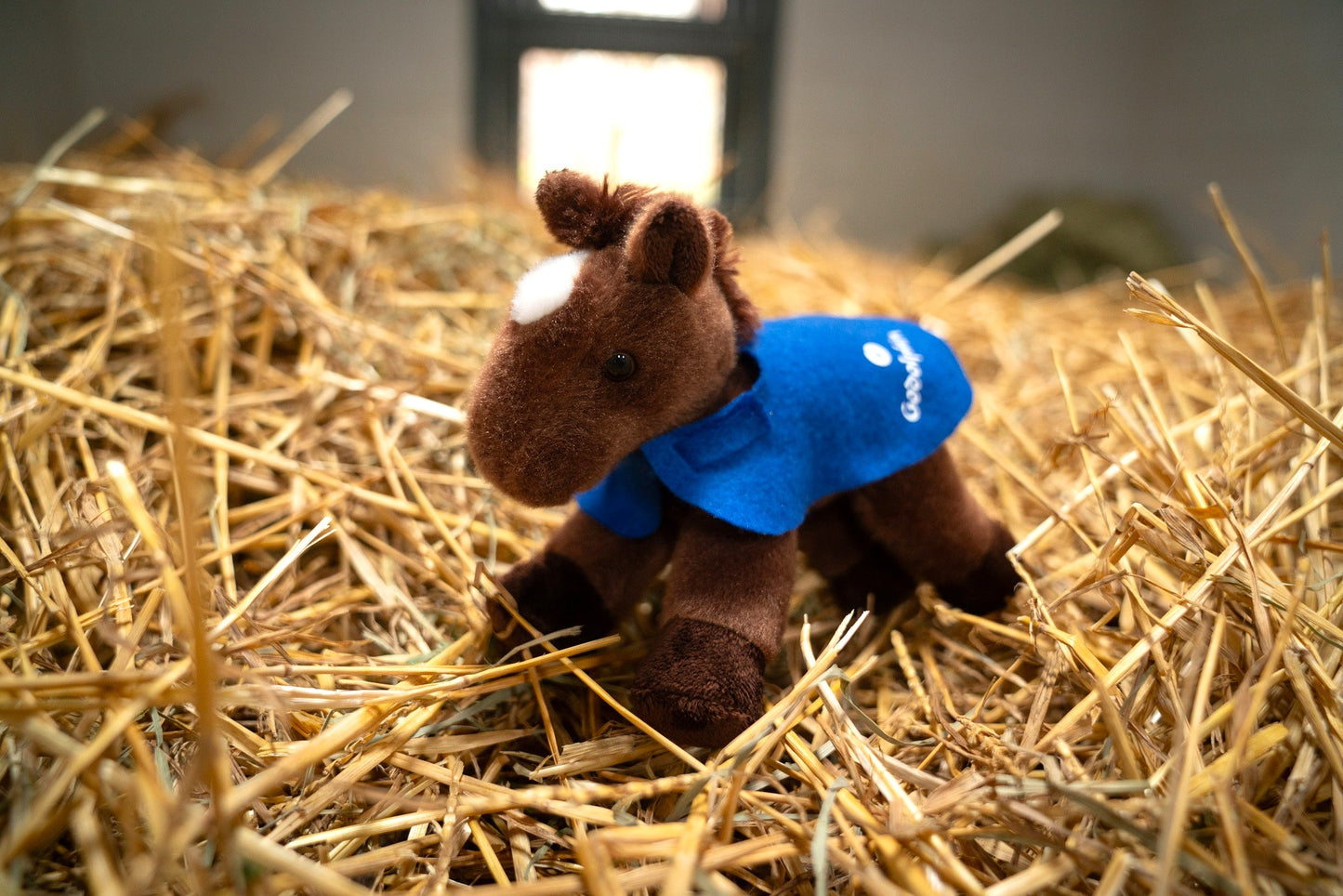 Cody’s Wish Plush