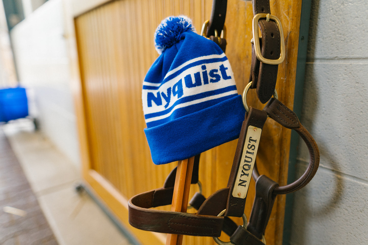 Nyquist Beanie