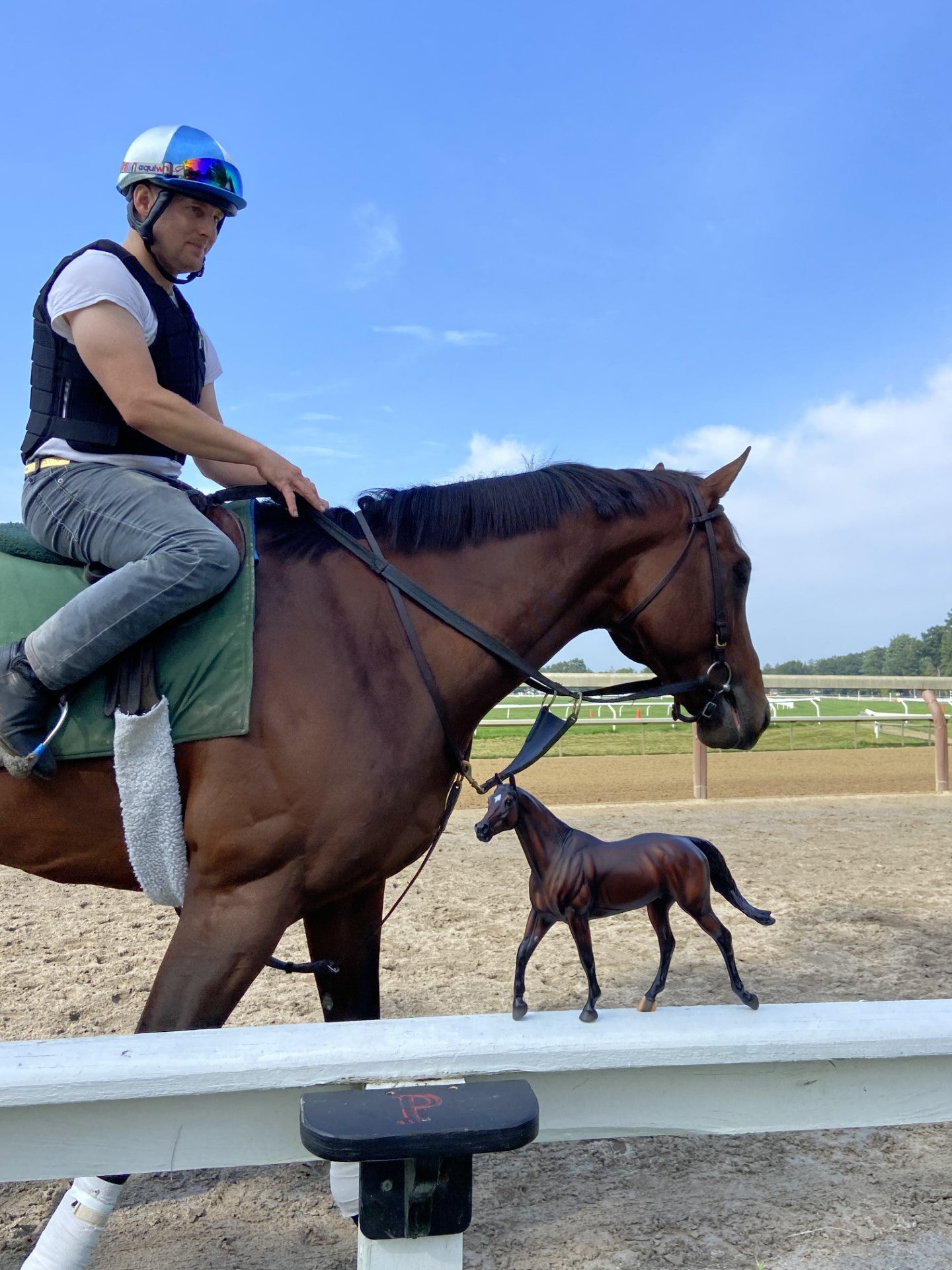 Cody’s Wish Breyer